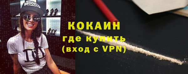 соль ск Алексин