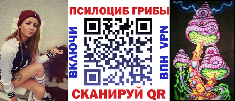 наркошоп  Тогучин  Псилоцибиновые грибы мицелий 